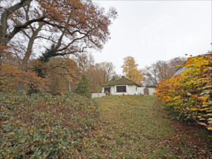 Garten_Rück