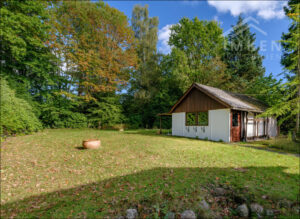 Blick in den Garten