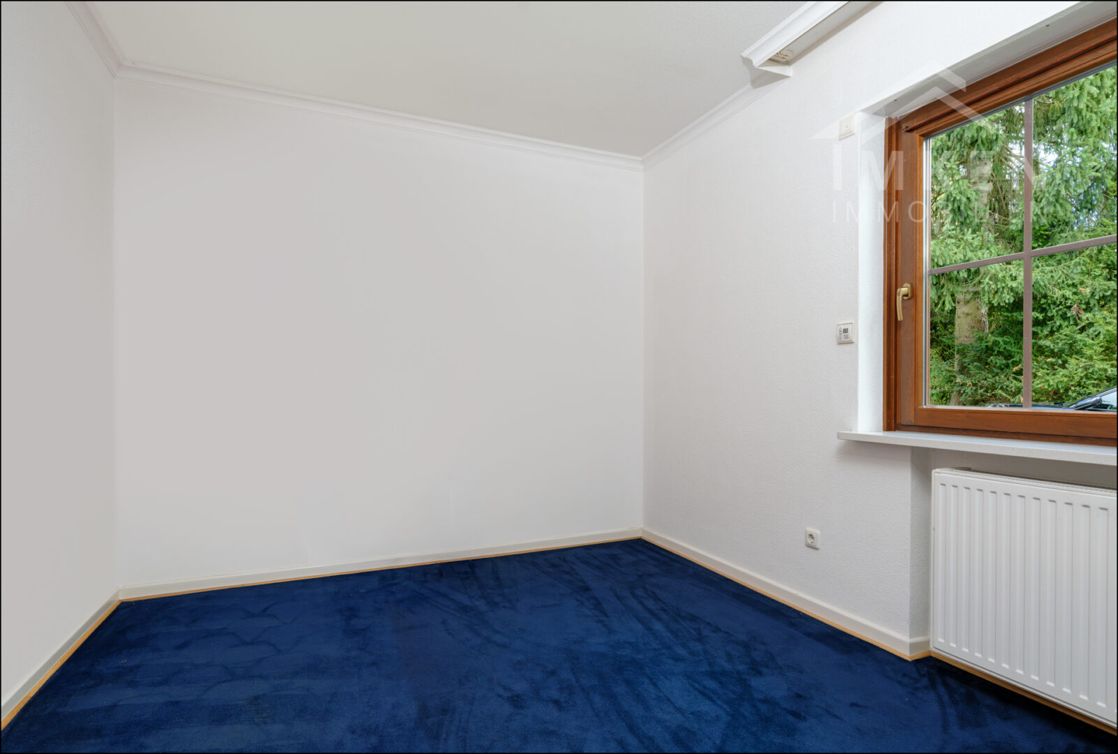 Zimmer EG